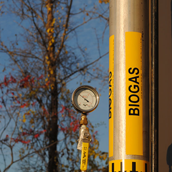 biogas